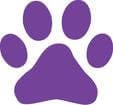 DOG TRAINING