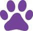 Paw
