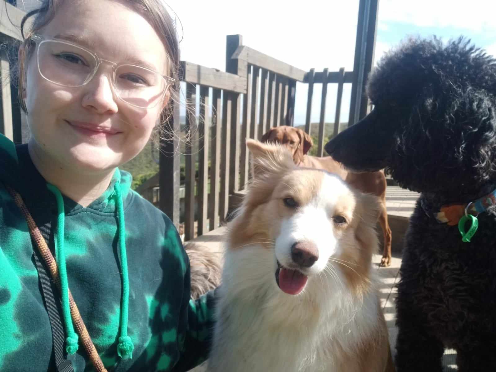 Loose Lead walking and manners training