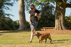 Loose Lead walking and manners training